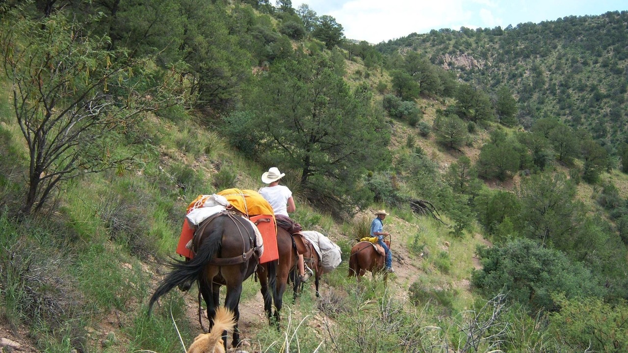 Photo of Others in Gila