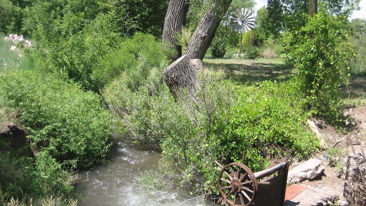 Photo of Others in Gila