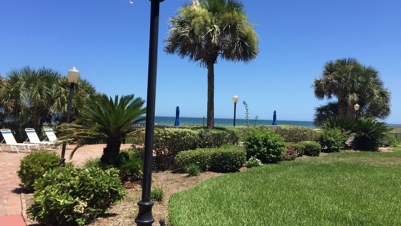 Photo of Others in Fernandina Beach