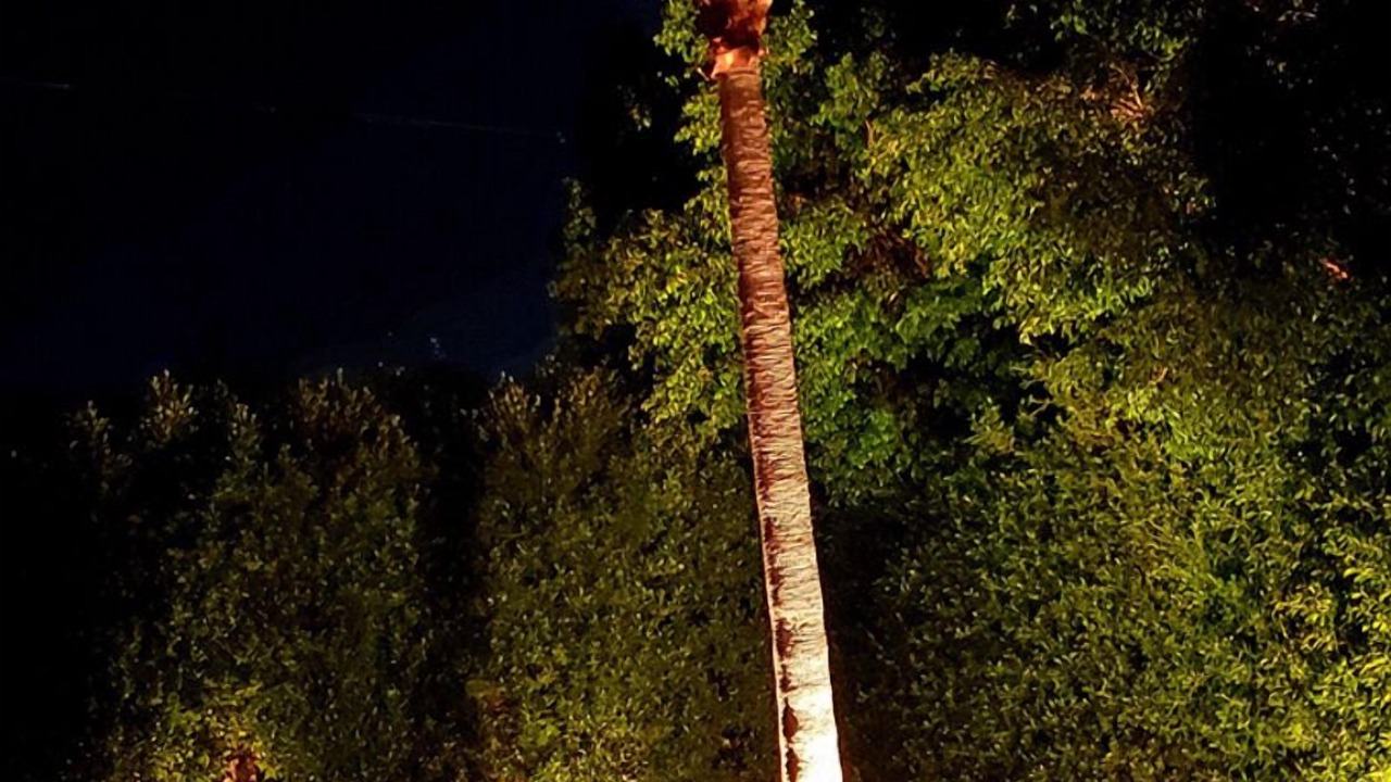Photo of Outdoor in Racquet Club Estates