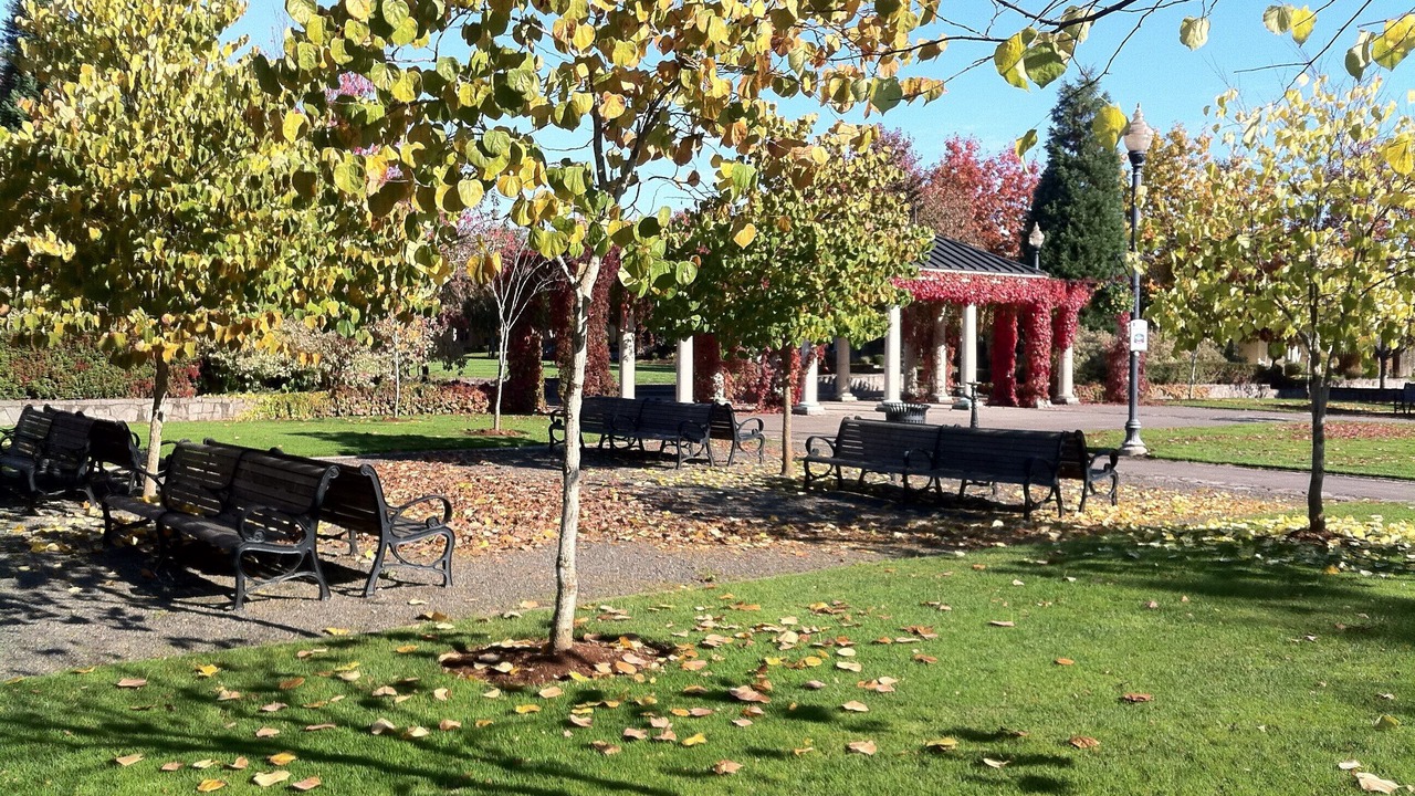 Photo of Others in Orenco Station