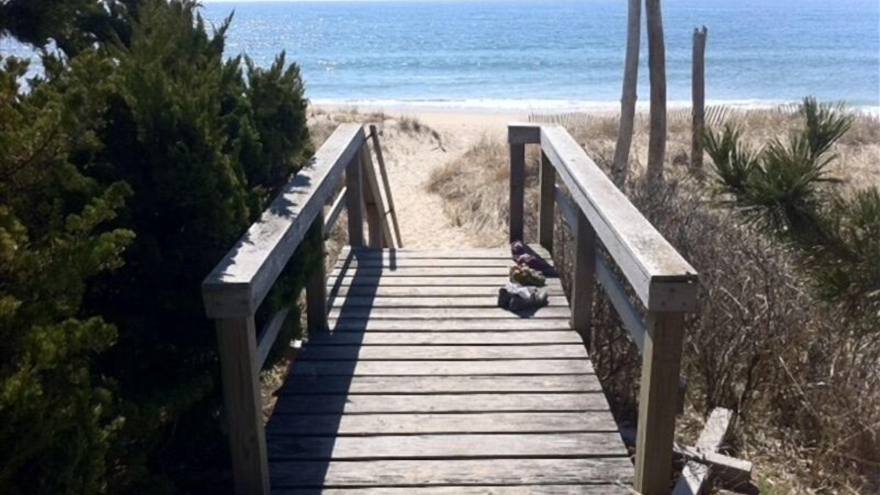 Photo of Others in Amagansett Dunes