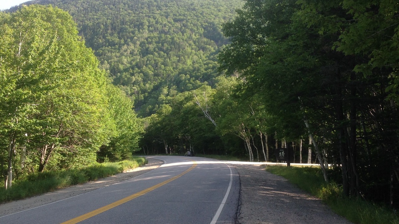 Photo of Others in Newry