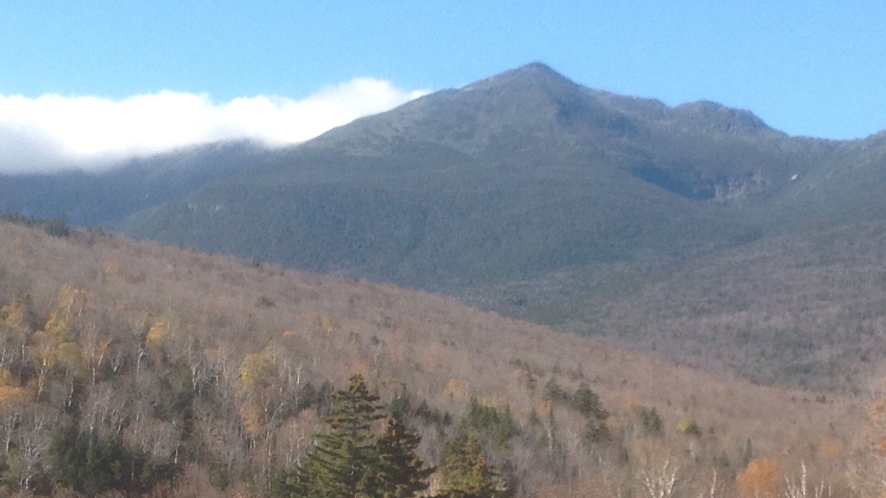 Photo of Others in Newry