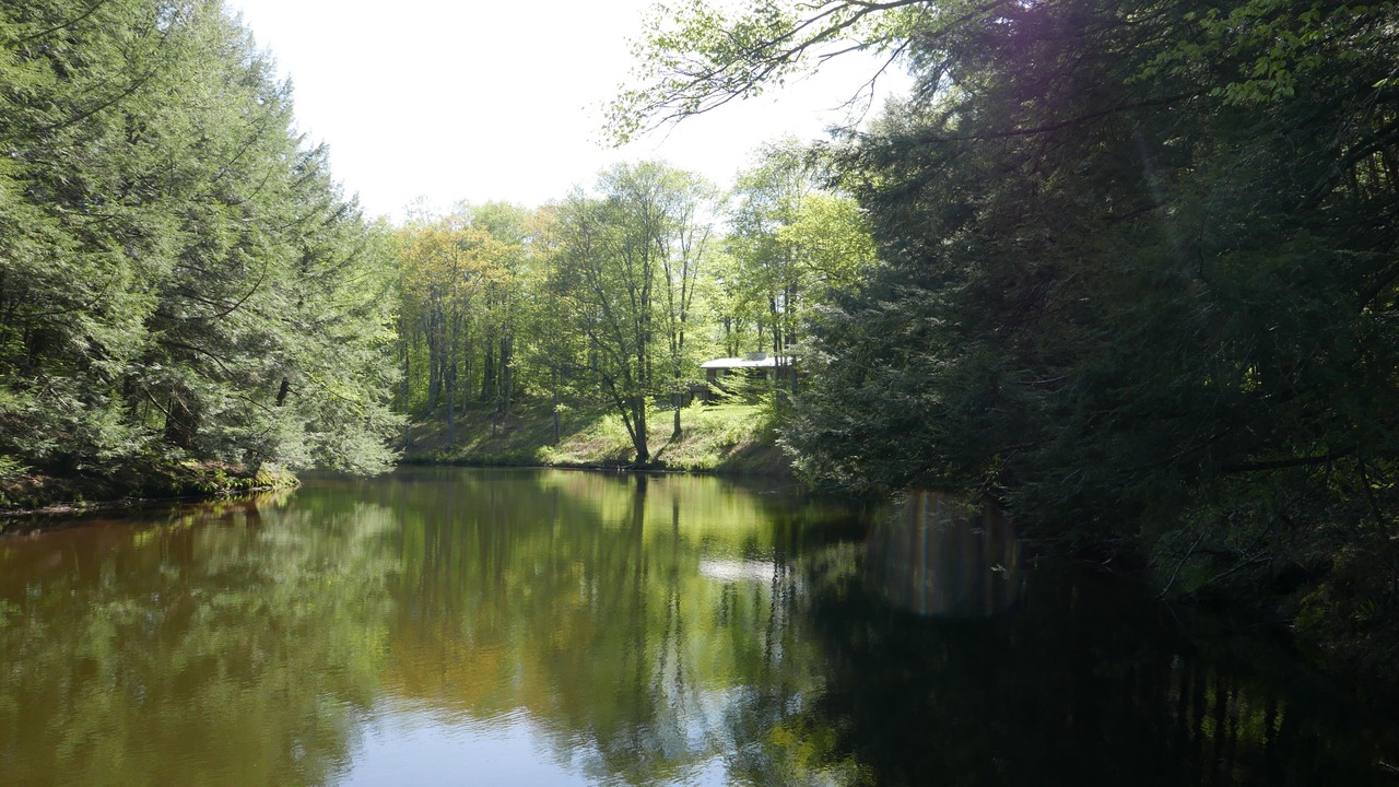 Photo of Outdoor in Livingston Manor