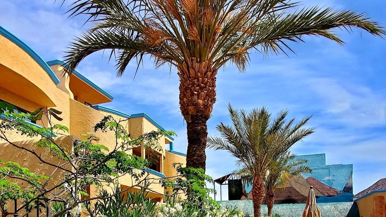 Photo of Outdoor in Segunda Seccion