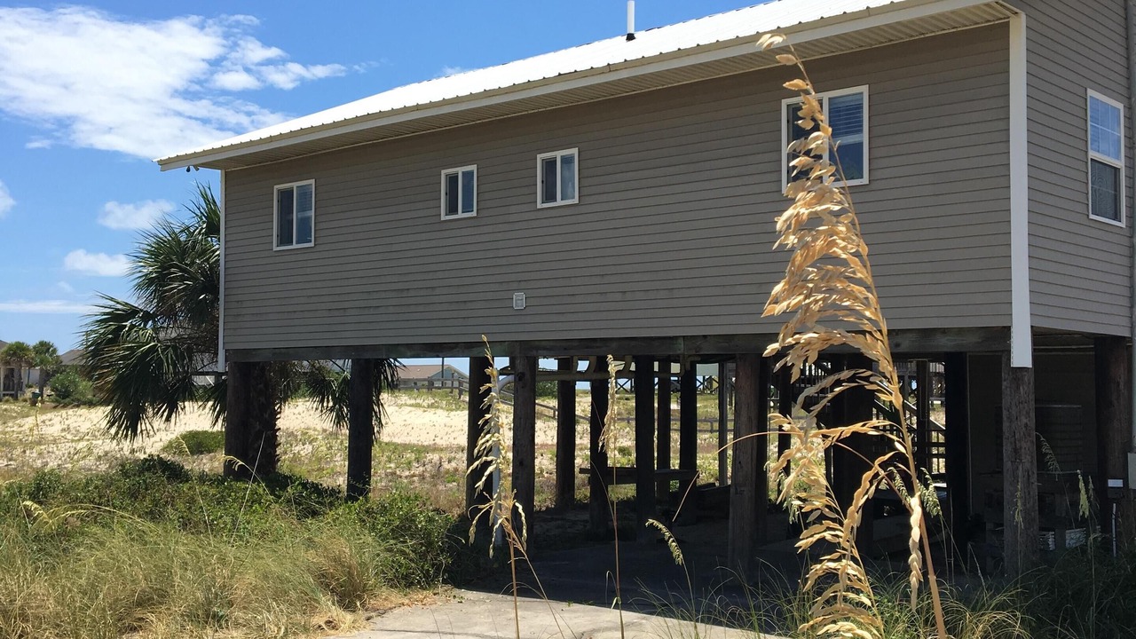 Photo of Others in East End