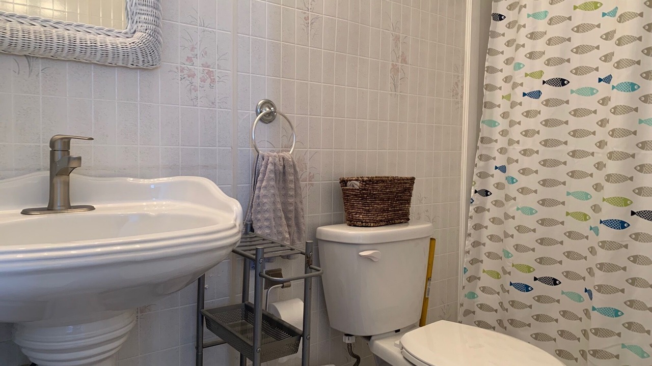 Photo of Others in East End