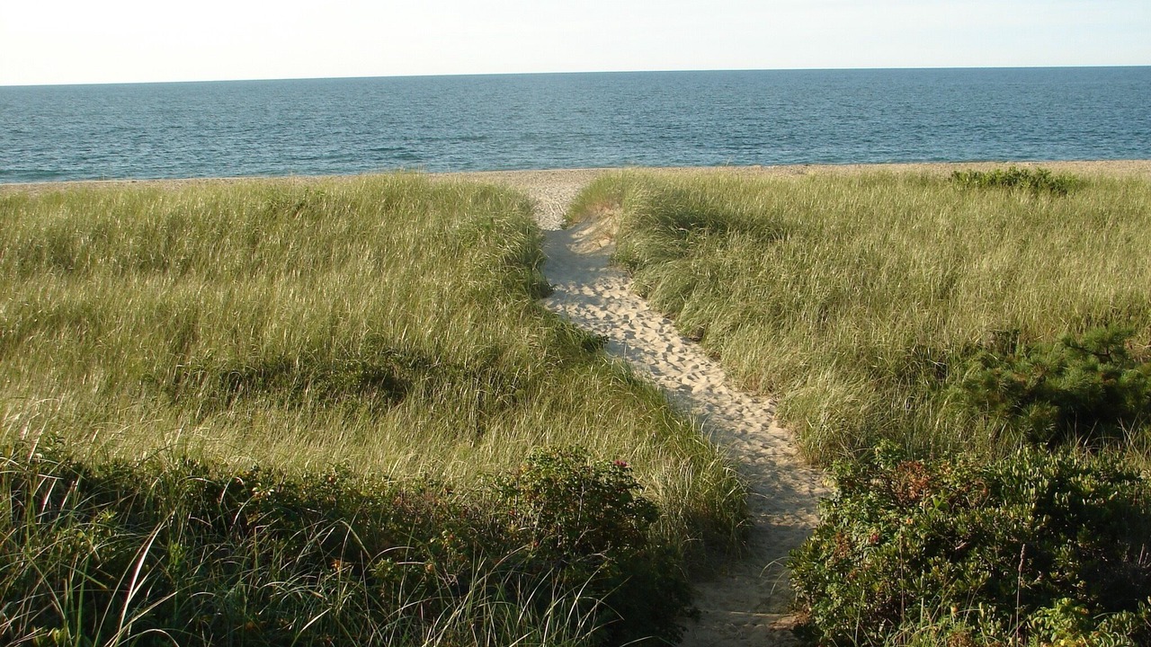 Photo of Others in Surfside