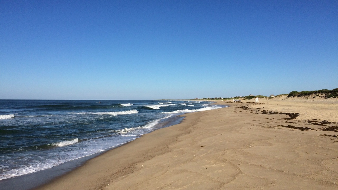 Photo of Others in Surfside