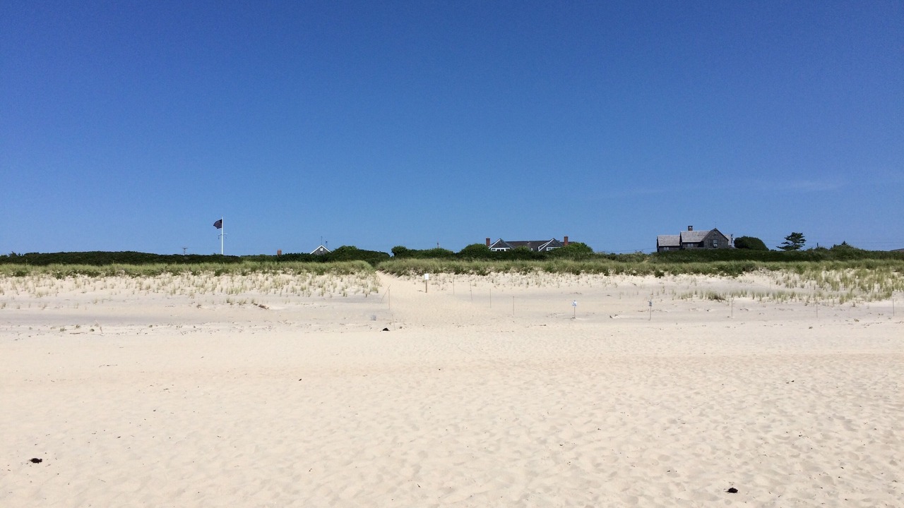 Photo of Others in Surfside