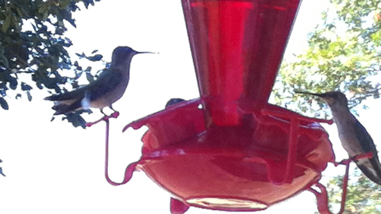 Photo of Others in Hughes County