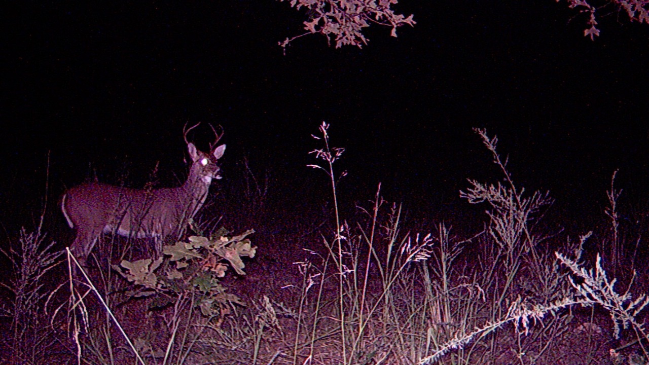 Photo of Others in Hughes County
