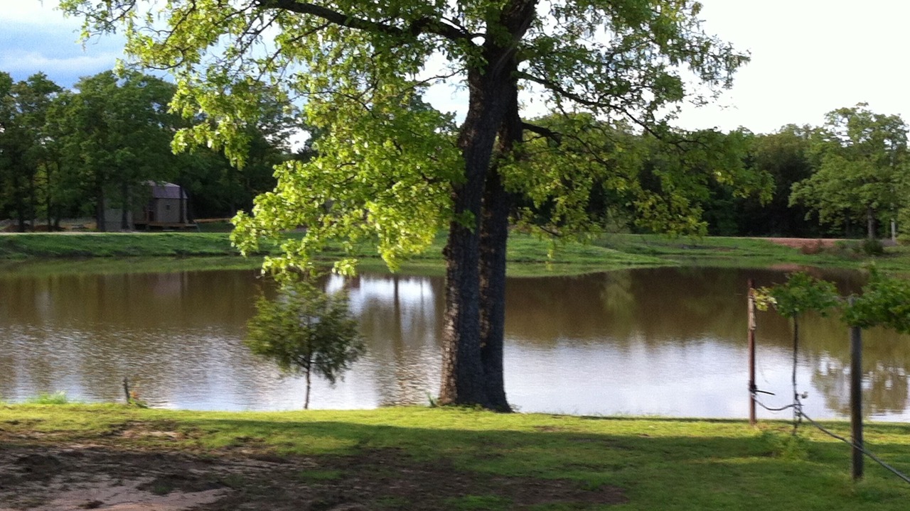 Photo of Others in Hughes County