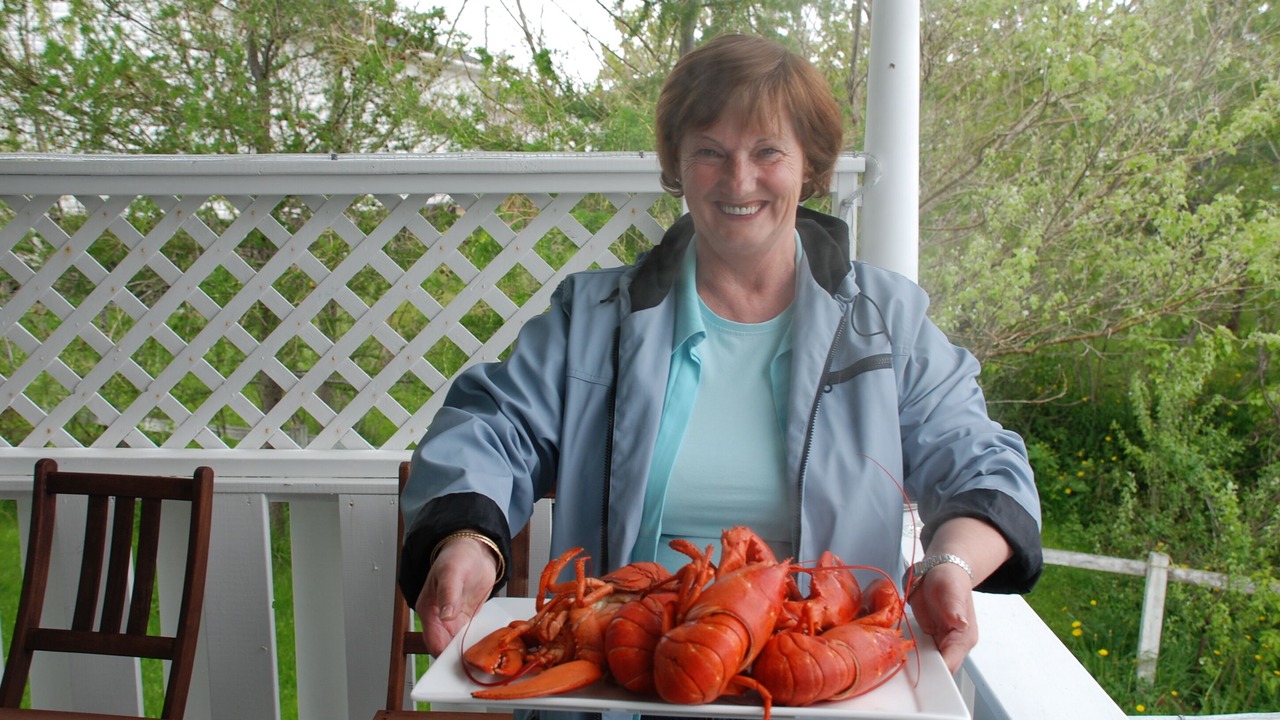 Photo of Outdoor in Rocky Harbour