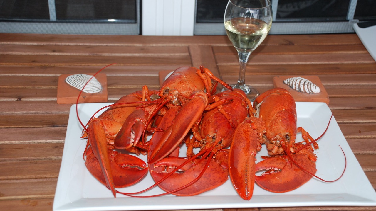 Photo of Others in Rocky Harbour