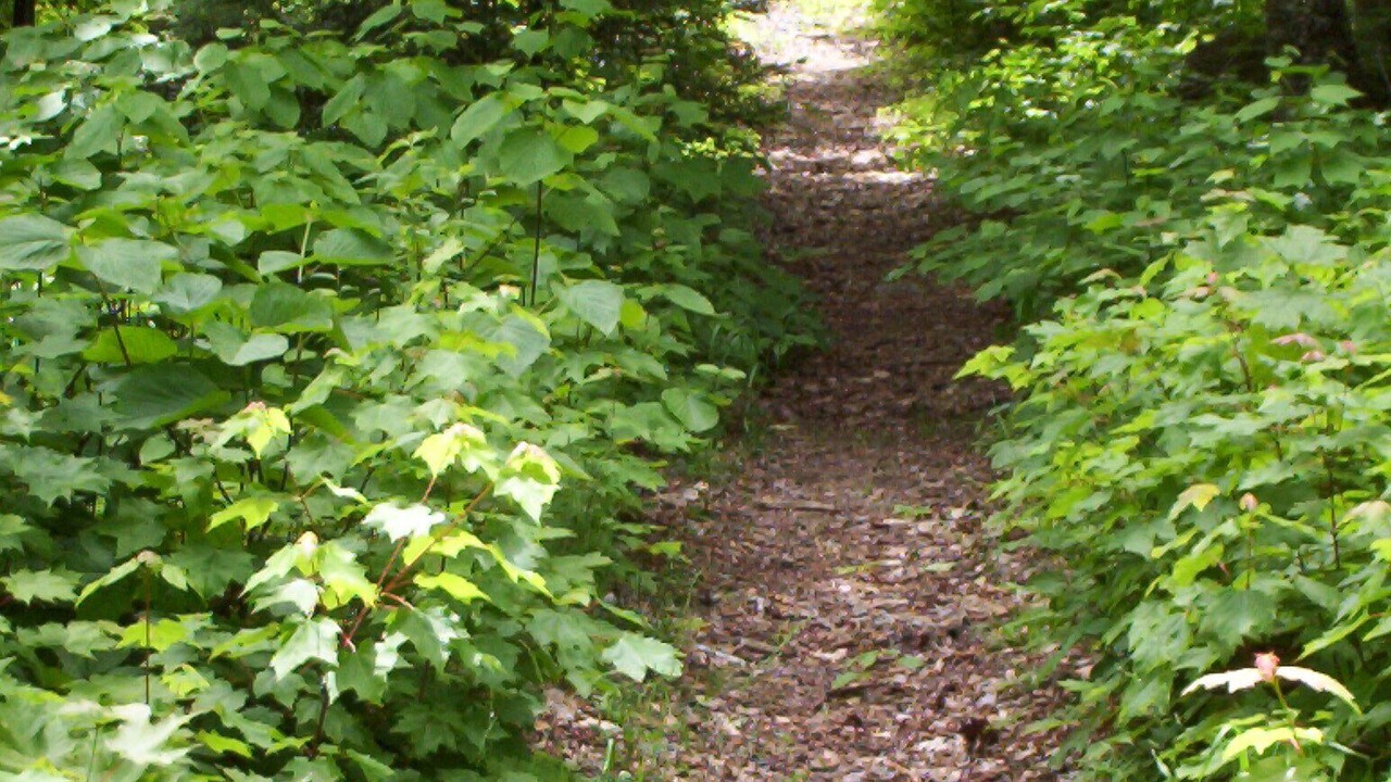 Photo of Outdoor in Villa des Bois