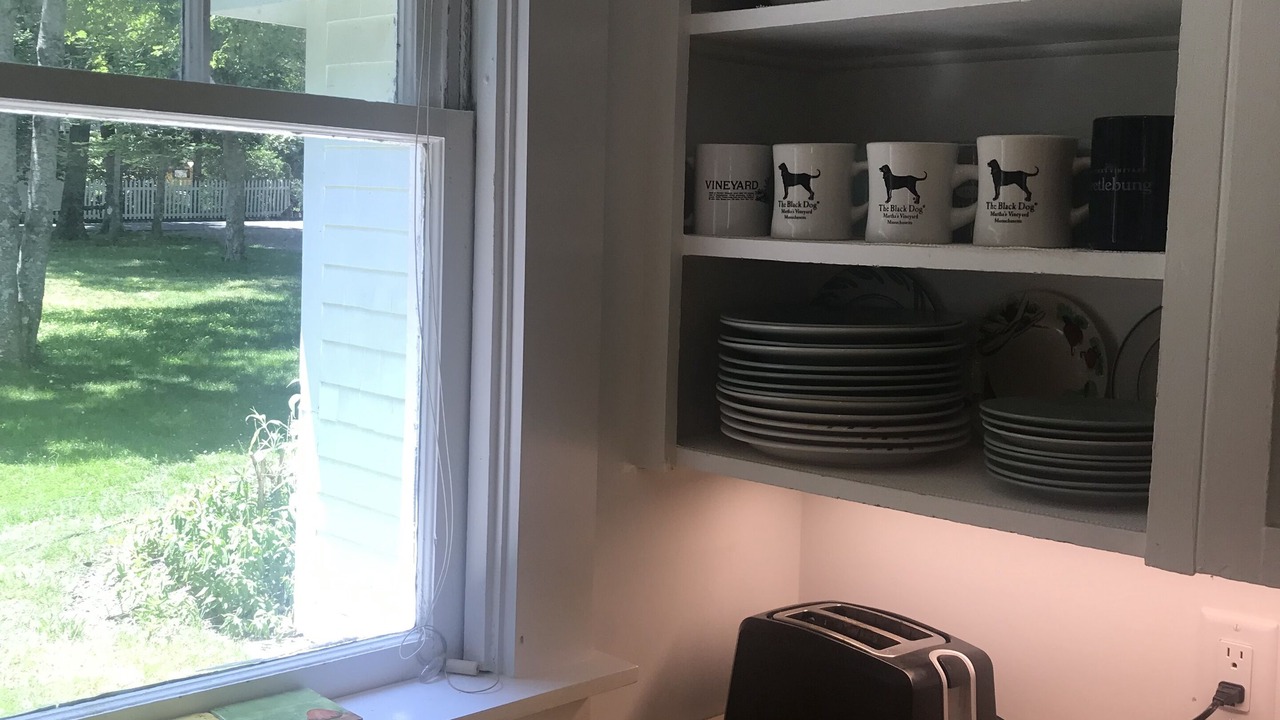 Photo of Others in Tisbury