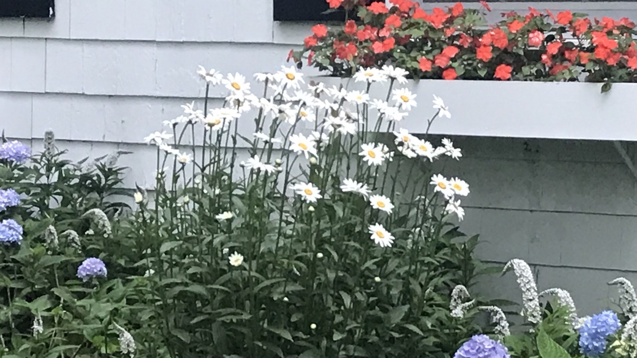 Photo of Others in Tisbury