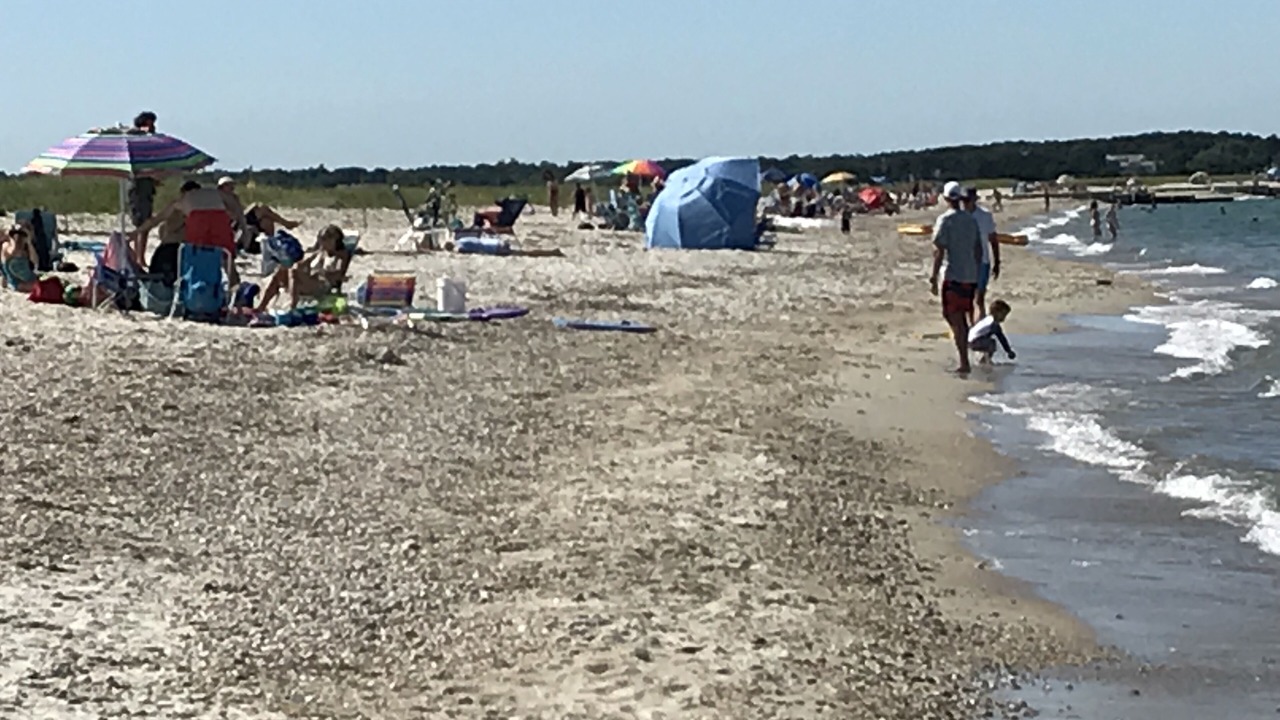 Photo of Others in Tisbury