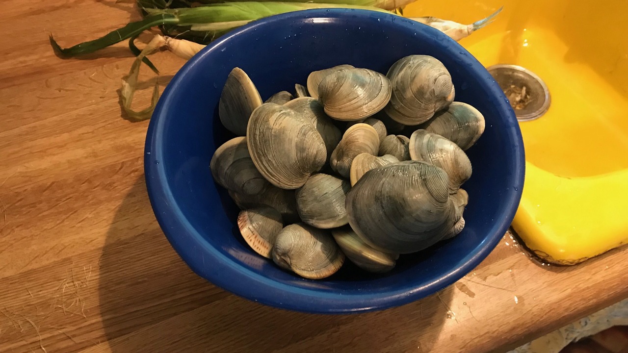 Photo of Others in Tisbury