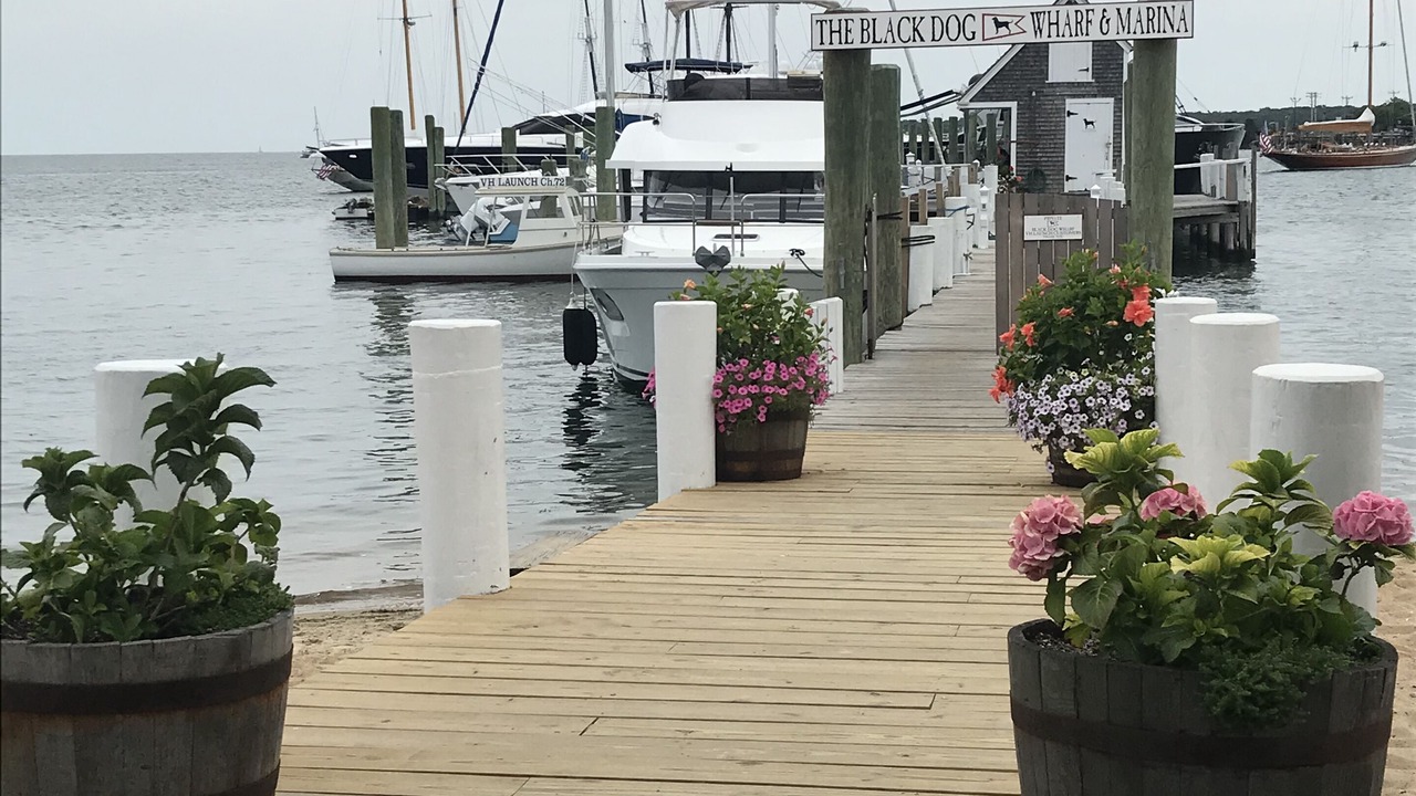 Photo of Others in Tisbury