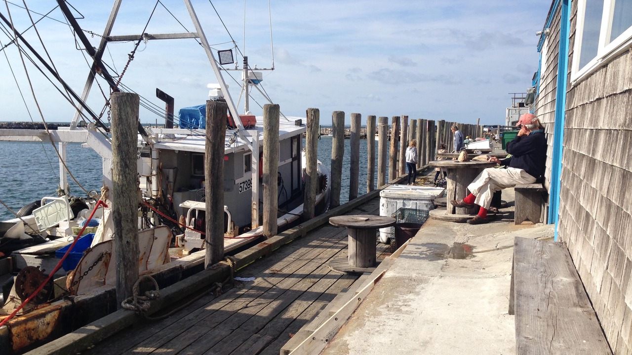 Photo of Others in Tisbury