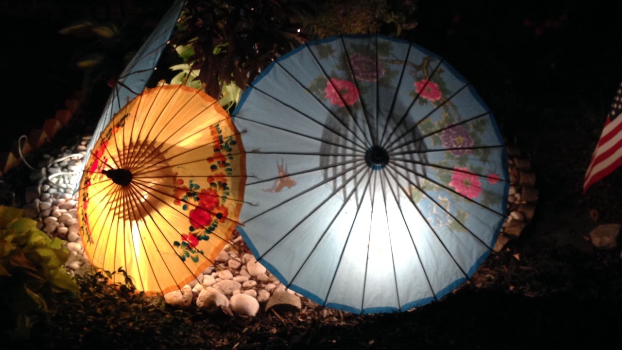 Photo of Others in Tisbury