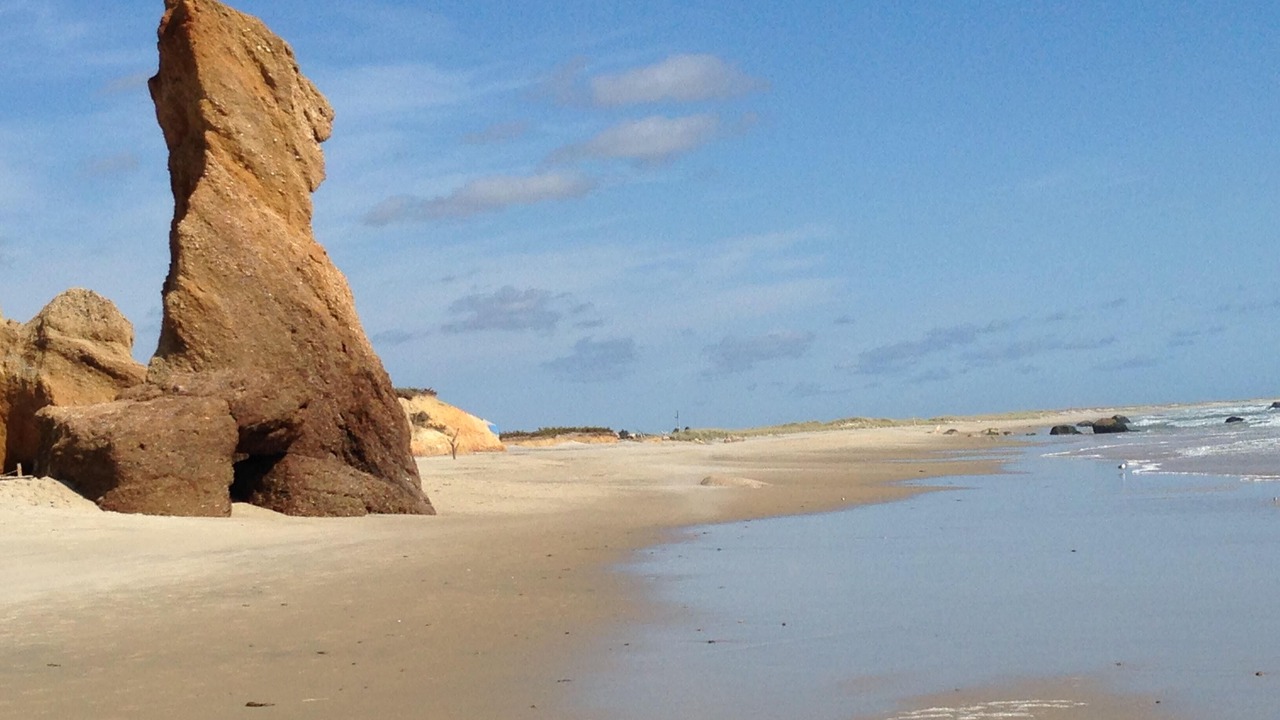 Photo of Others in Tisbury