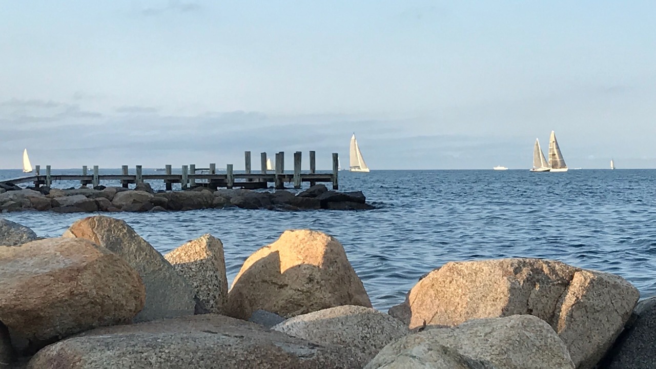 Photo of Others in Tisbury