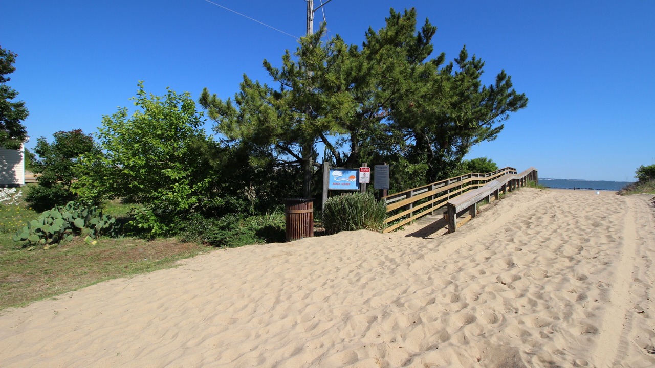 Photo of Others in Willoughby Spit