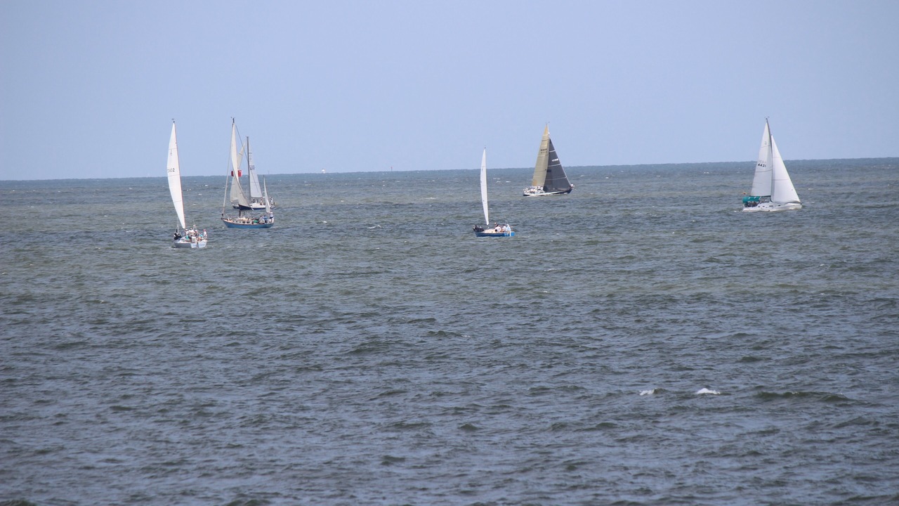 Photo of Others in Willoughby Spit