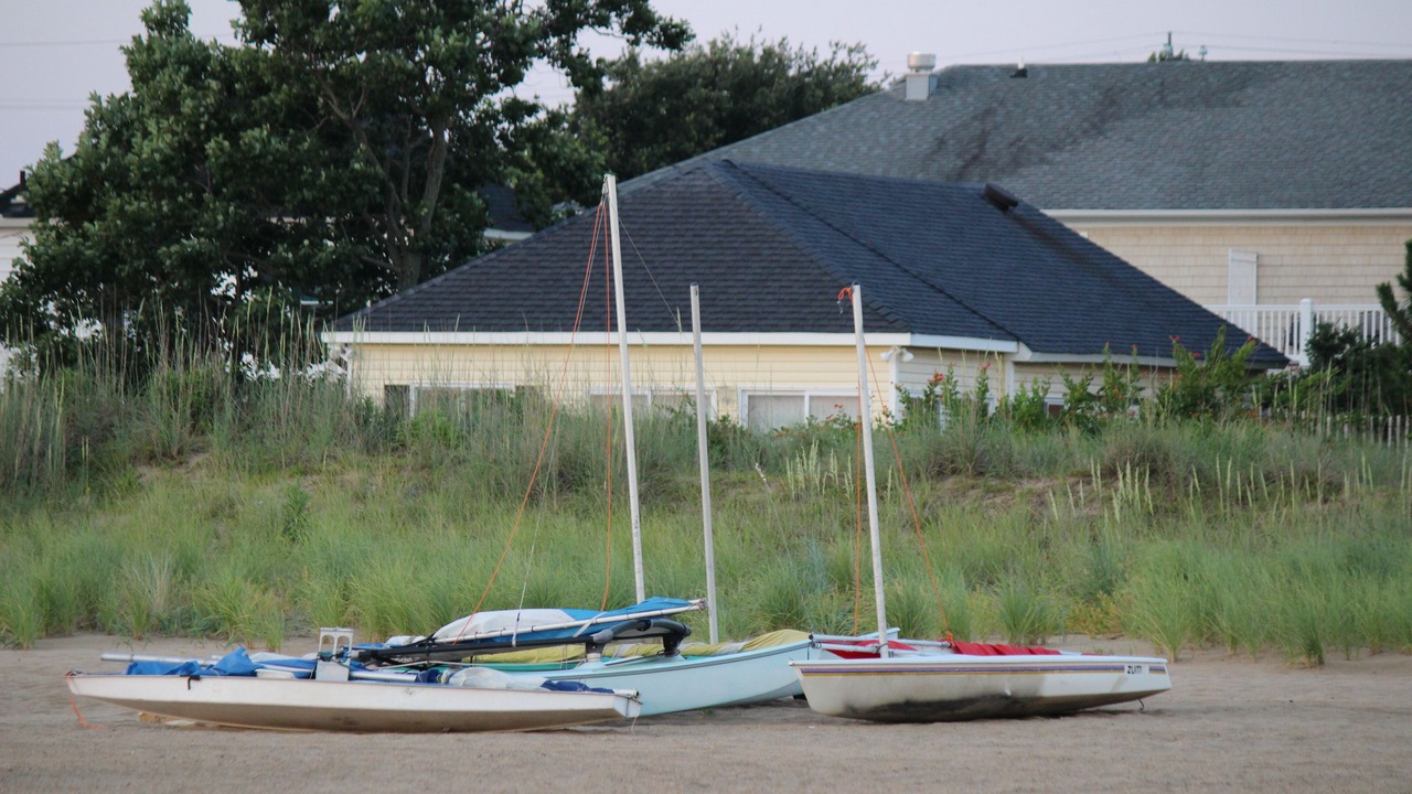 Photo of Others in Willoughby Spit