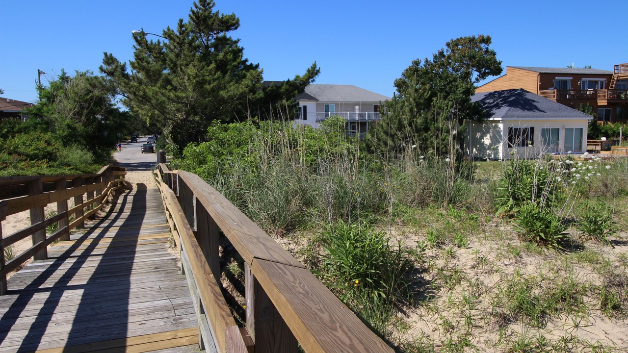 Photo of Others in Willoughby Spit