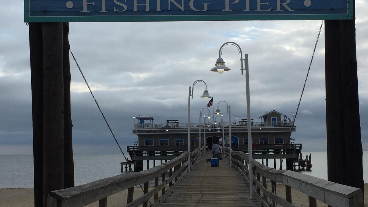 Photo of Others in Willoughby Spit
