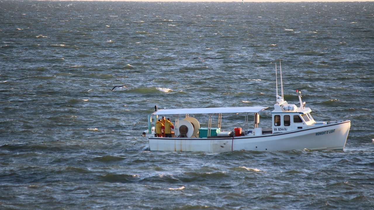 Photo of Others in Willoughby Spit