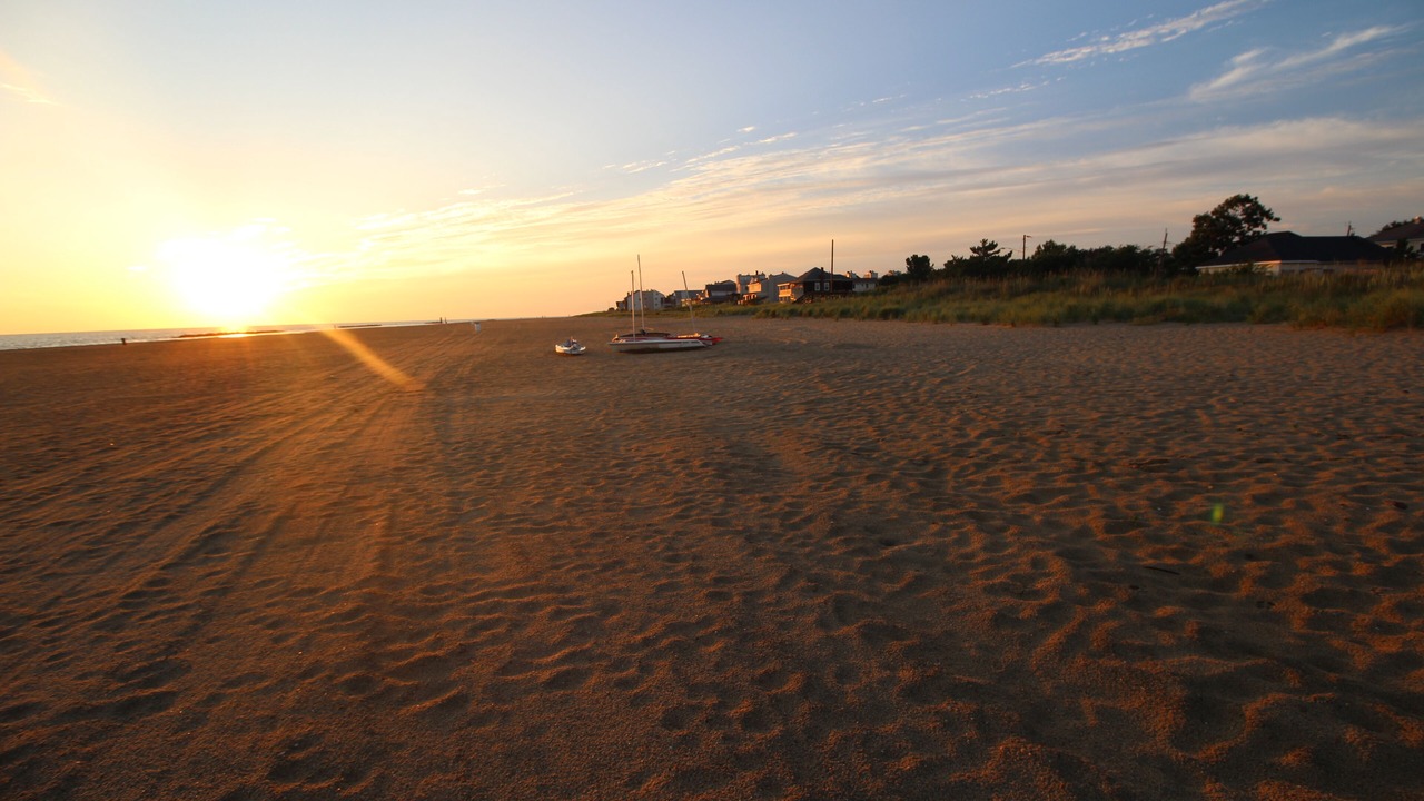 Photo of Others in Willoughby Spit