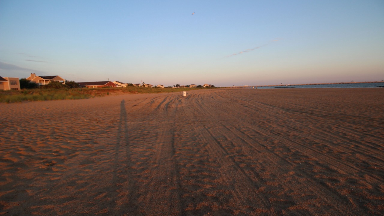 Photo of Others in Willoughby Spit