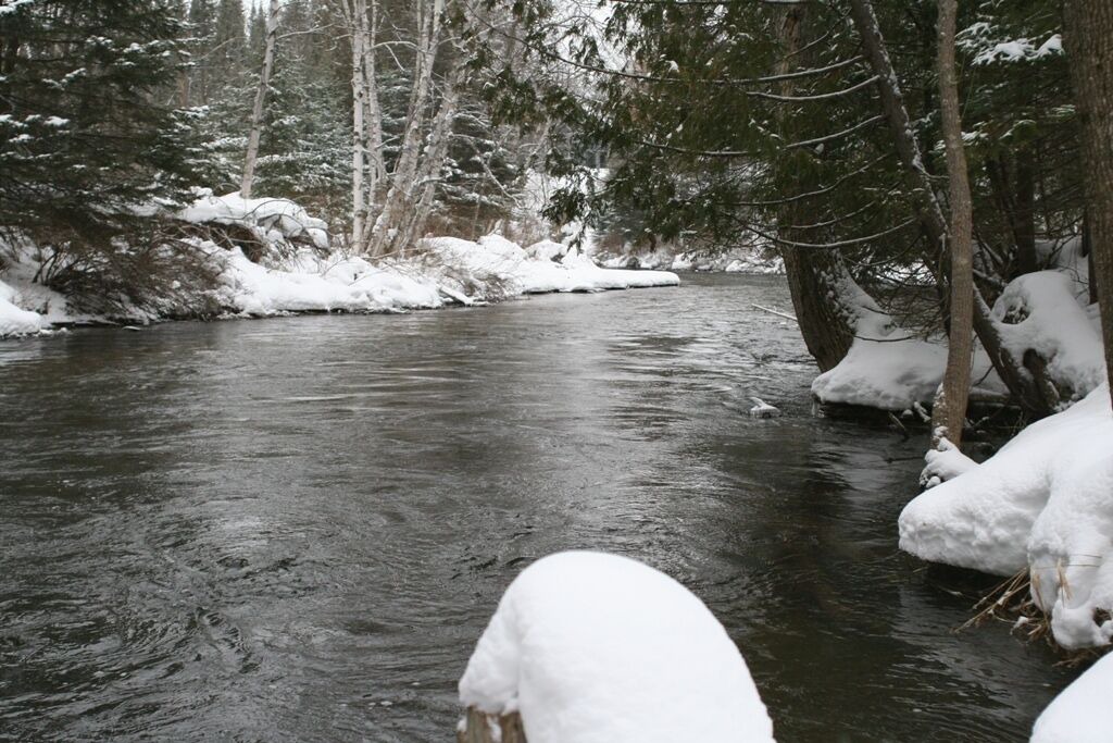 Photo of Others in Cheboygan County