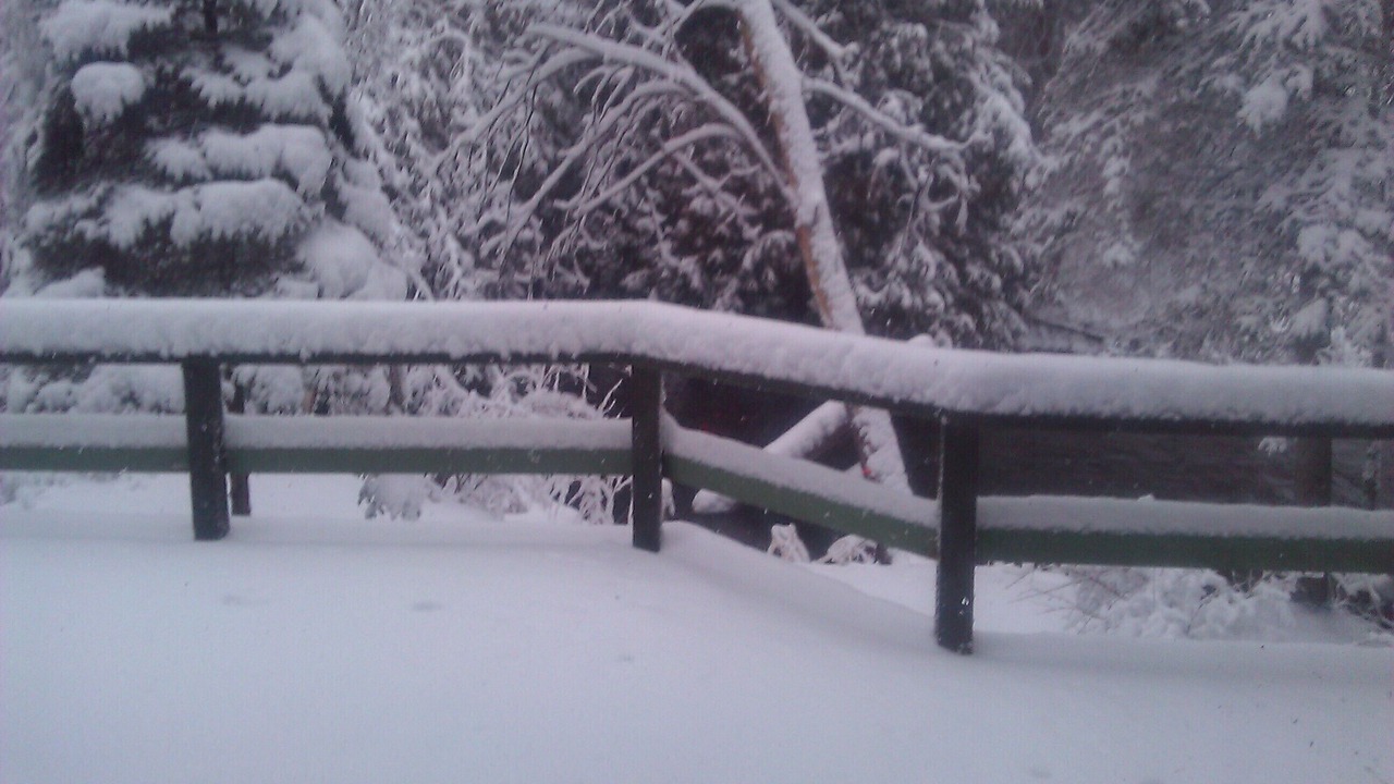 Photo of Outdoor in Cheboygan County