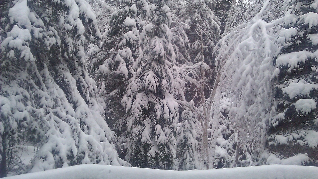 Photo of Outdoor in Cheboygan County