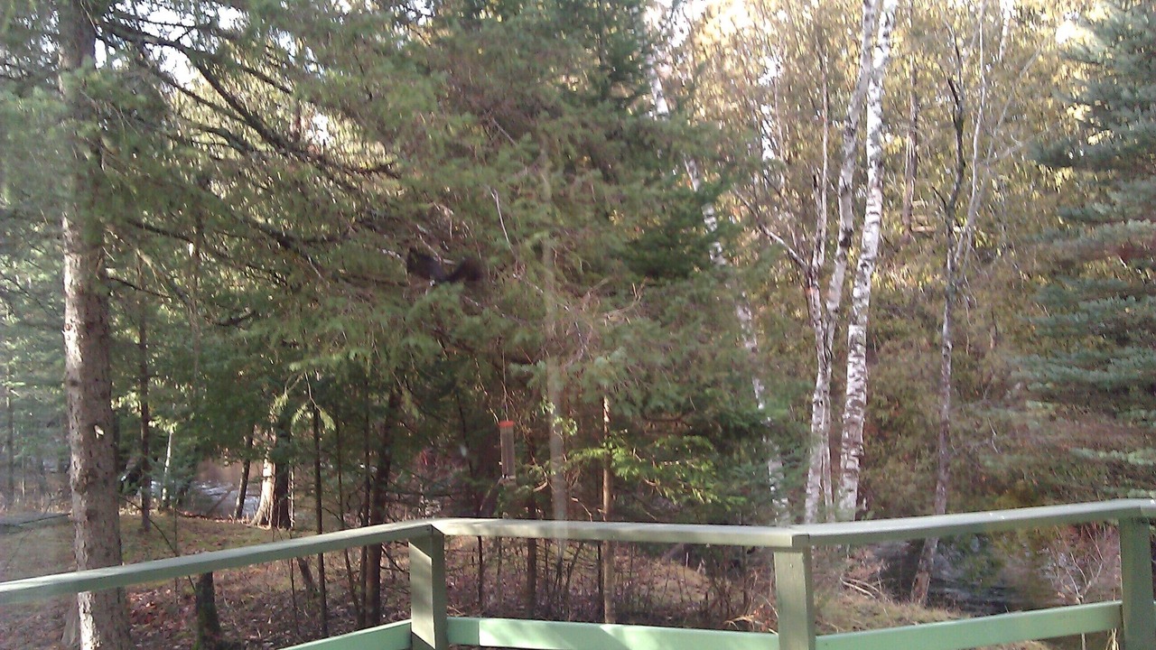 Photo of Outdoor in Cheboygan County