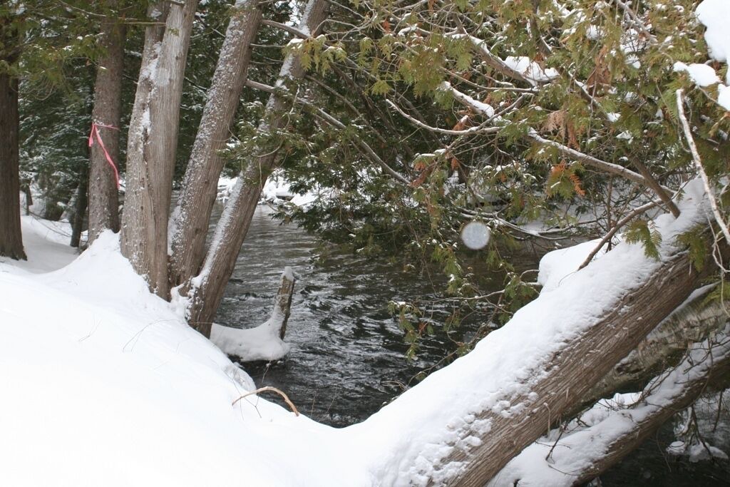 Photo of Outdoor in Cheboygan County