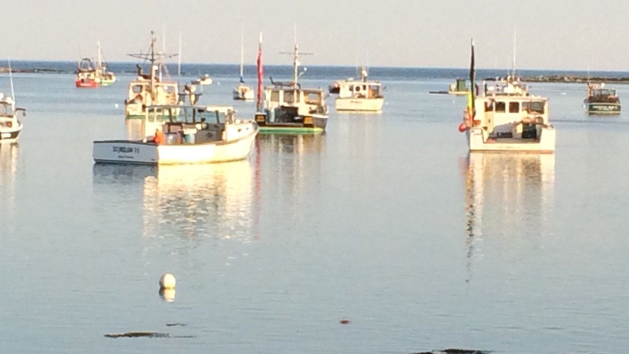 Photo of Others in Kennebunkport