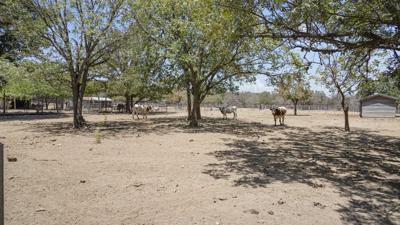 Photo of Others in Bandera