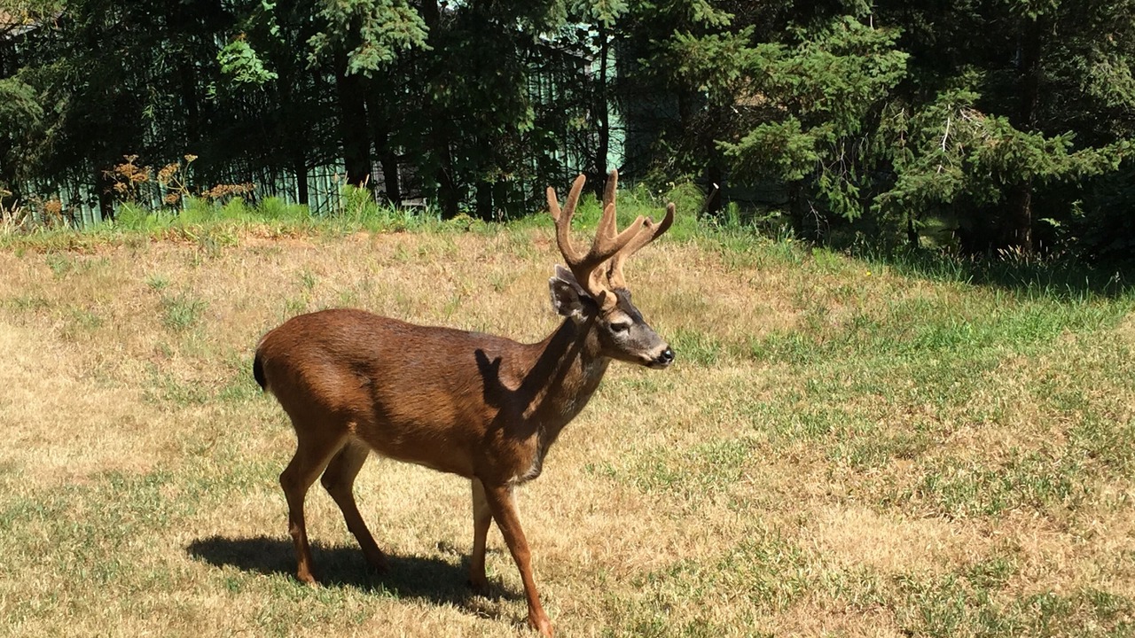 Photo of Outdoor in Gold Beach
