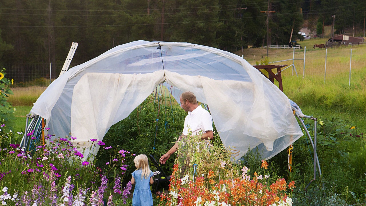 Photo of Outdoor in Alberton