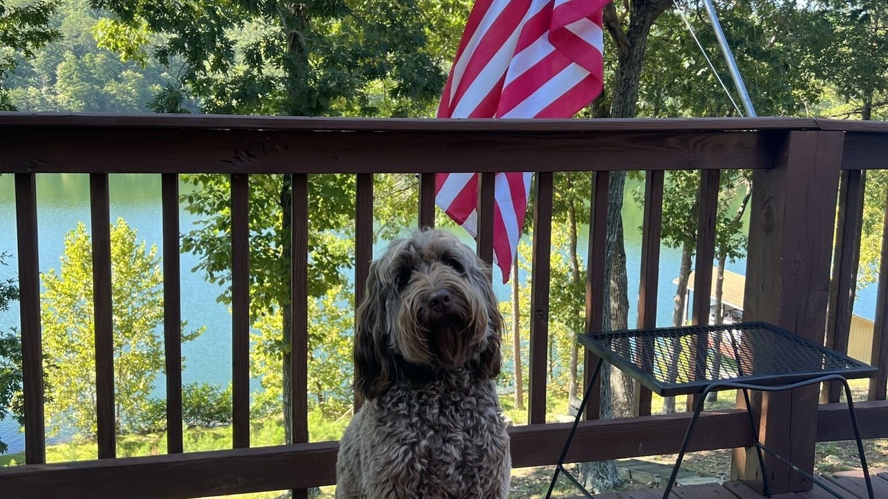 Photo of Outdoor in Huddleston