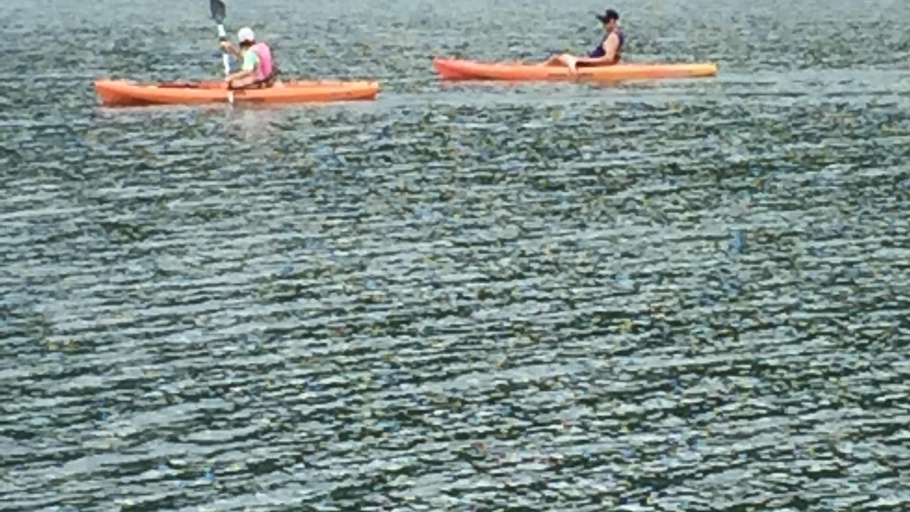 Photo of Others in Huddleston
