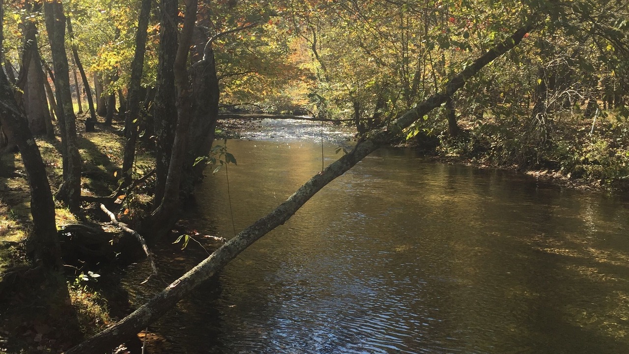 Photo of Others in Blairsville